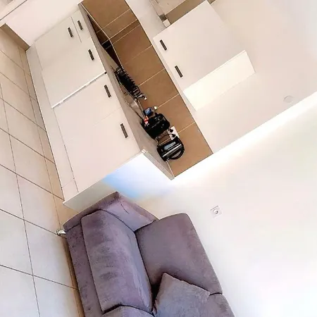 Le Cedre Bleu * 尼斯